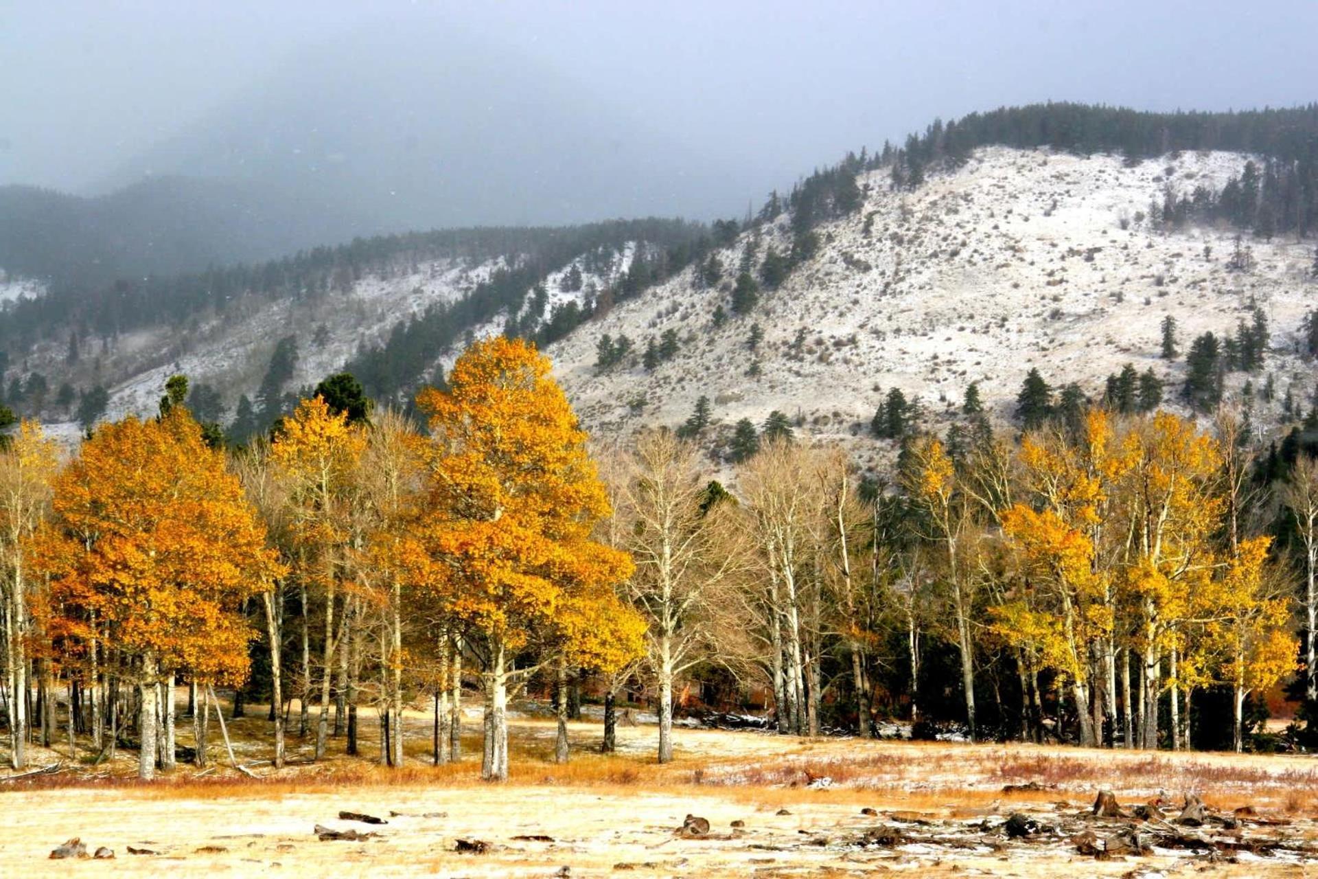 New Listing 2Br 2Ba Condo - Mountain Views Aspen Exteriör bild