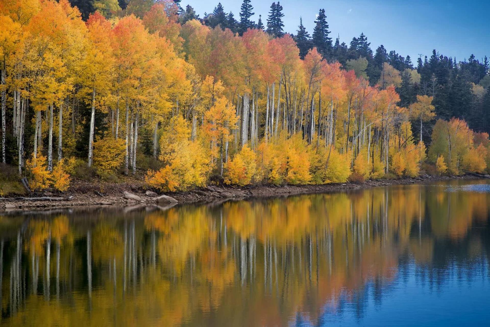 New Listing 2Br 2Ba Condo - Mountain Views Aspen Exteriör bild